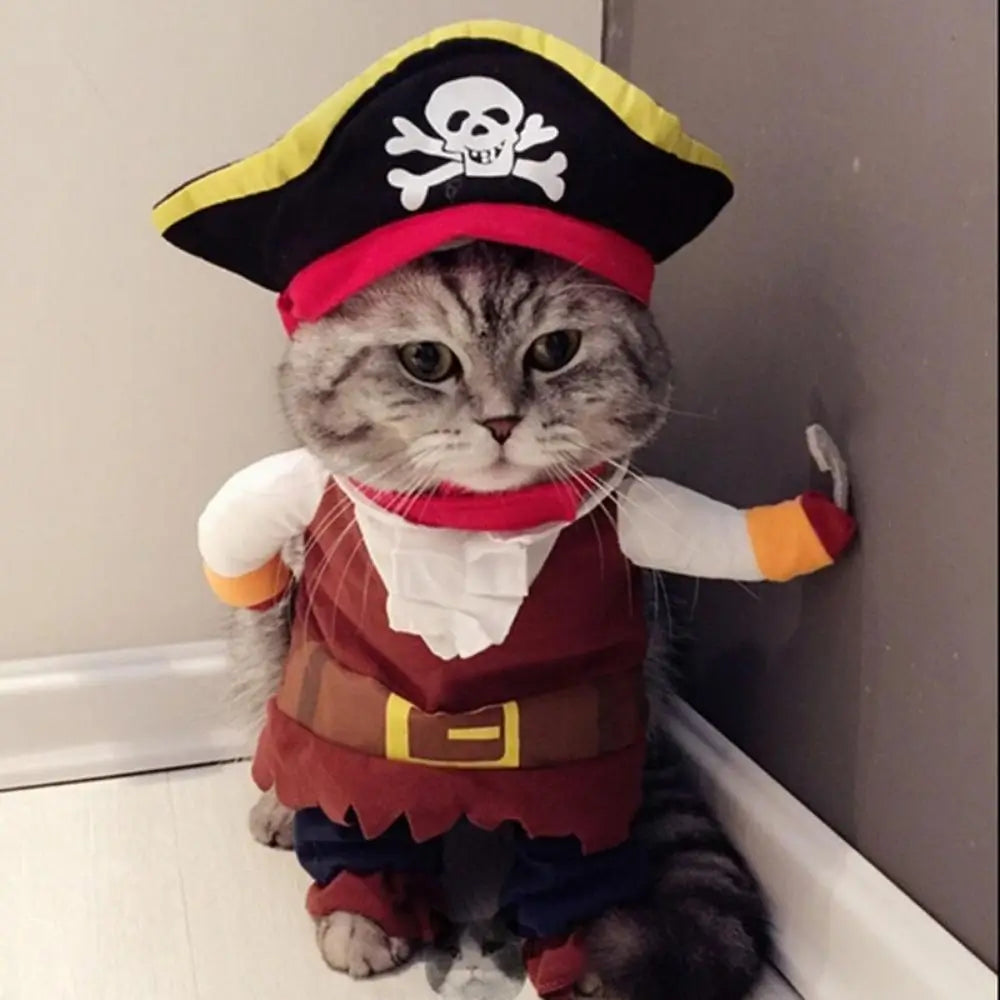 Funny Pirate Cat Costume