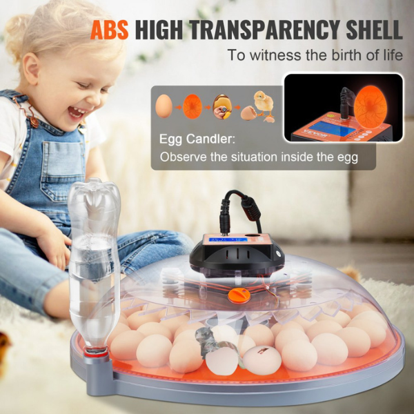 Automatic Egg Incubator with Turnover Function 48 Eggs Temperature and Humidity Control