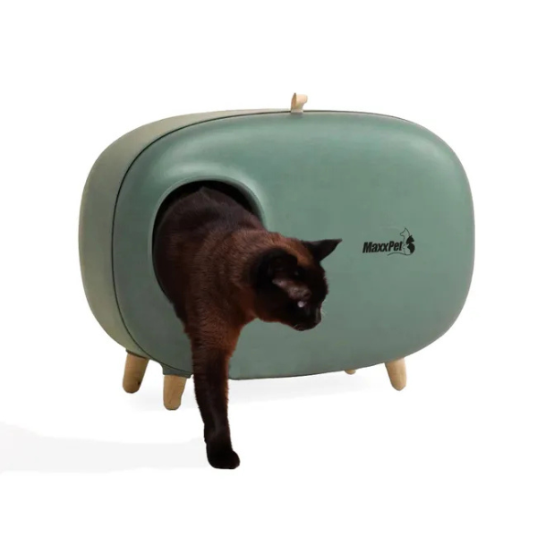 Cat Litter Box 60x38x45 cm - Covered Cat Toilet House - Enclosed Litter Tray