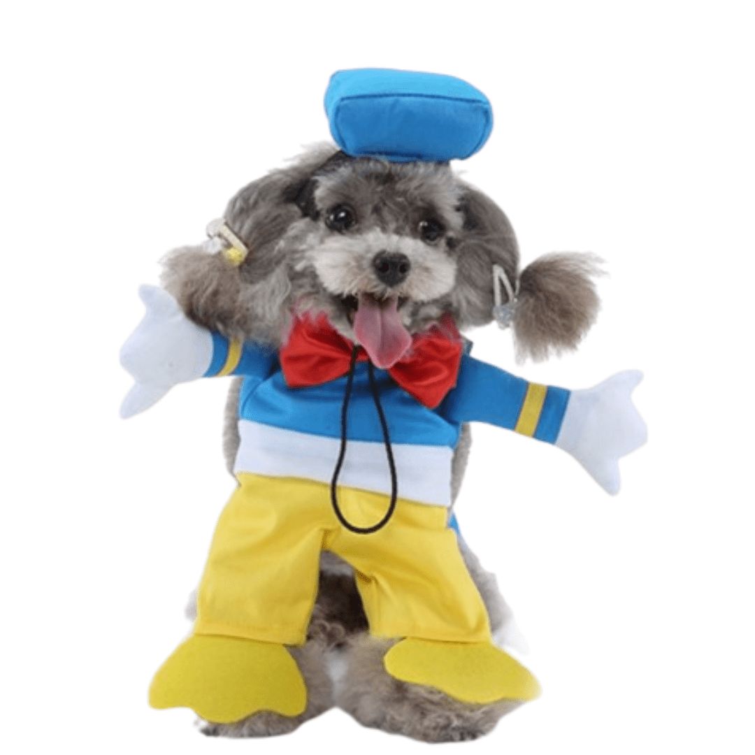 Donald Costume for Cats and Dogs Pet Halloween Outfit