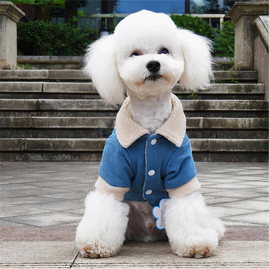 Winter Dog Jacket Denim Coat Warm Pet Outerwear