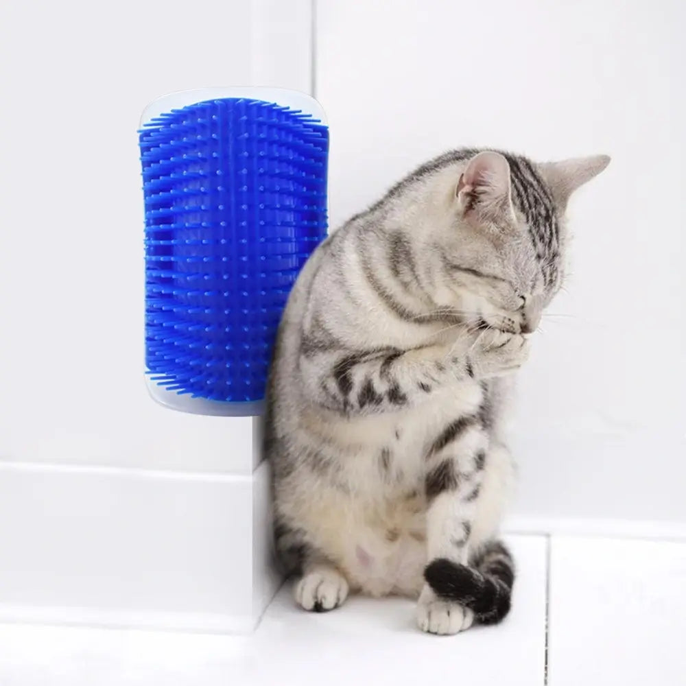 Cat Wall Brush Grooming Tool