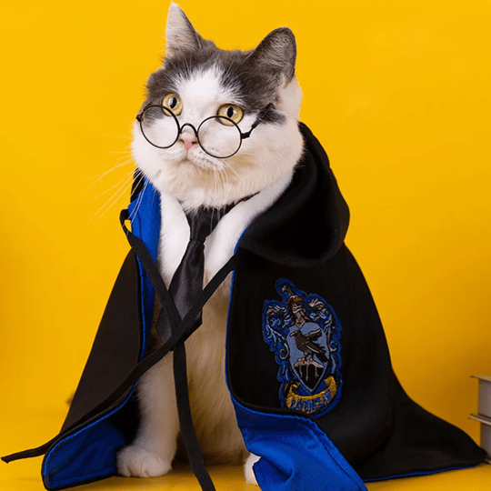 Harry Potter Pet Costume Cape for Cats and Dogs Magical Cloak Dress Up