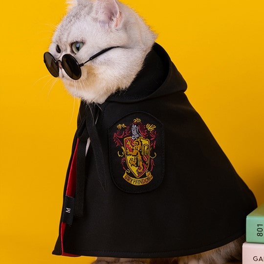 Harry Potter Pet Costume Cape for Cats and Dogs Magical Cloak Dress Up