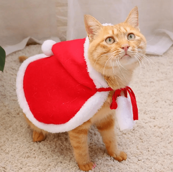 Santa Claus Cape Cat Costume Pet Christmas Outfit