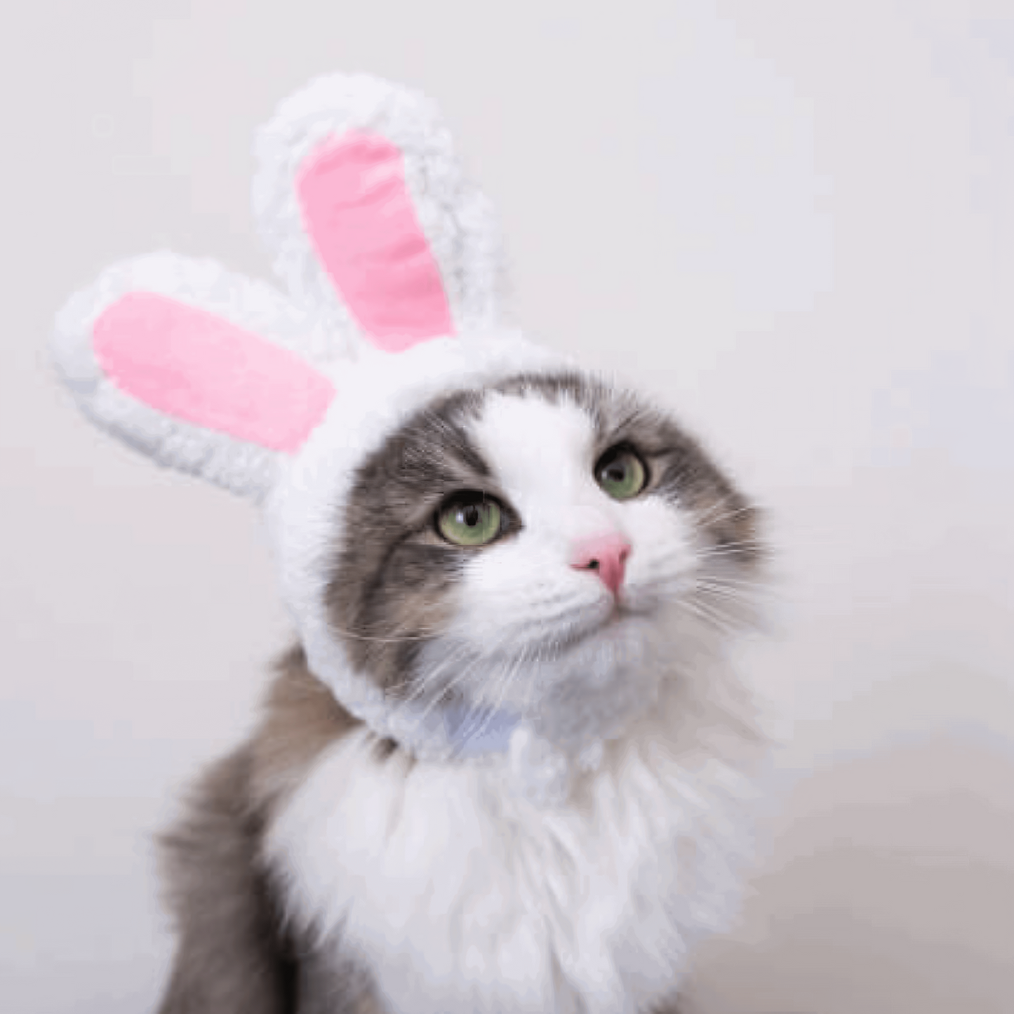 Cat Head Costume Hat Pet Headwear for Cats Halloween Dress Up