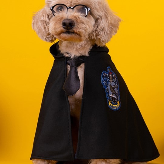 Harry Potter Pet Costume Cape for Cats and Dogs Magical Cloak Dress Up