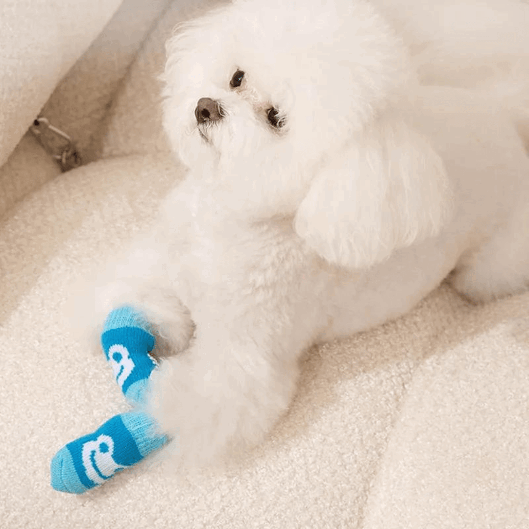 Dog Socks Non Slip Blue Frog Pattern Pet Booties for Indoor Outdoor Use