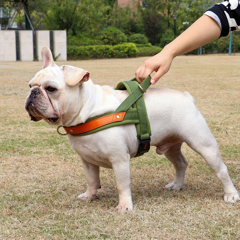 Dog T Harness Adjustable No Pull Pet Harness for Small Medium Large Dogs
