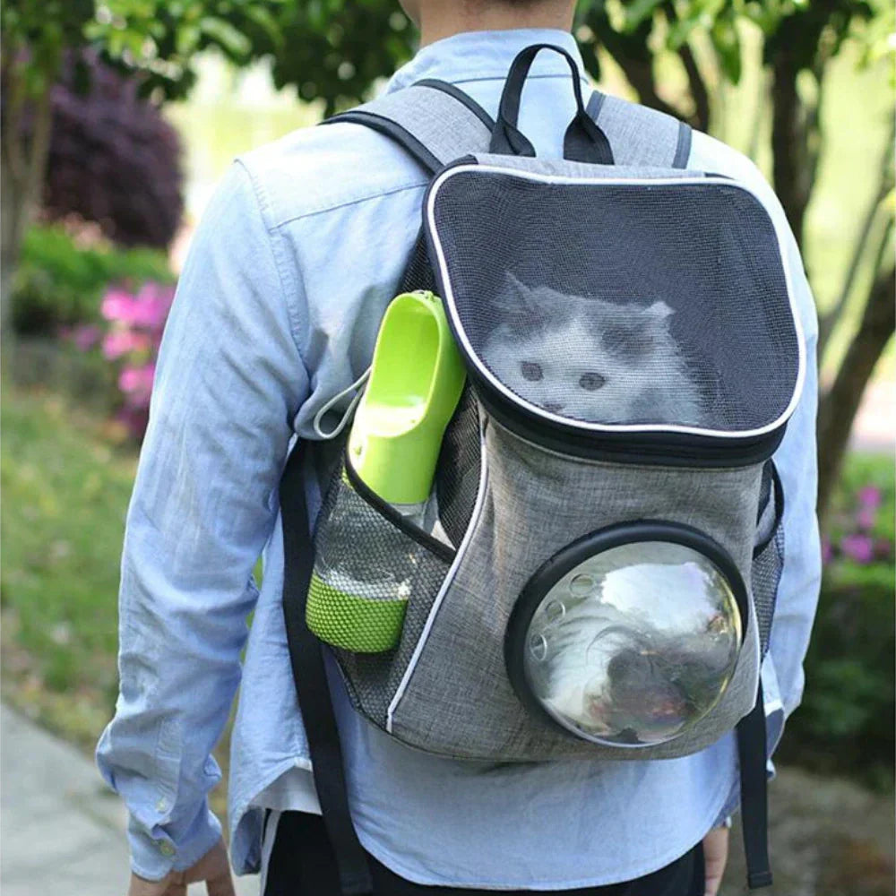 Cat Water Bottle Portable Pet Drinking Bottle for Cats
