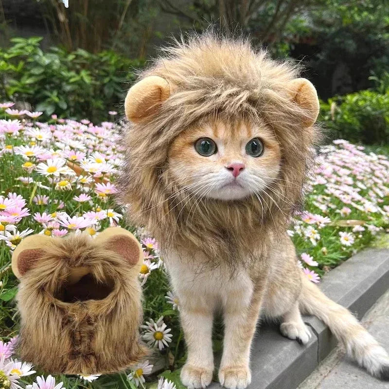 Lion Mane Wig Costume for Cats Cat Dress Up Pet Halloween Outfit
