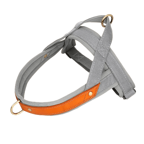 Dog T Harness Adjustable No Pull Pet Harness for Small Medium Large Dogs