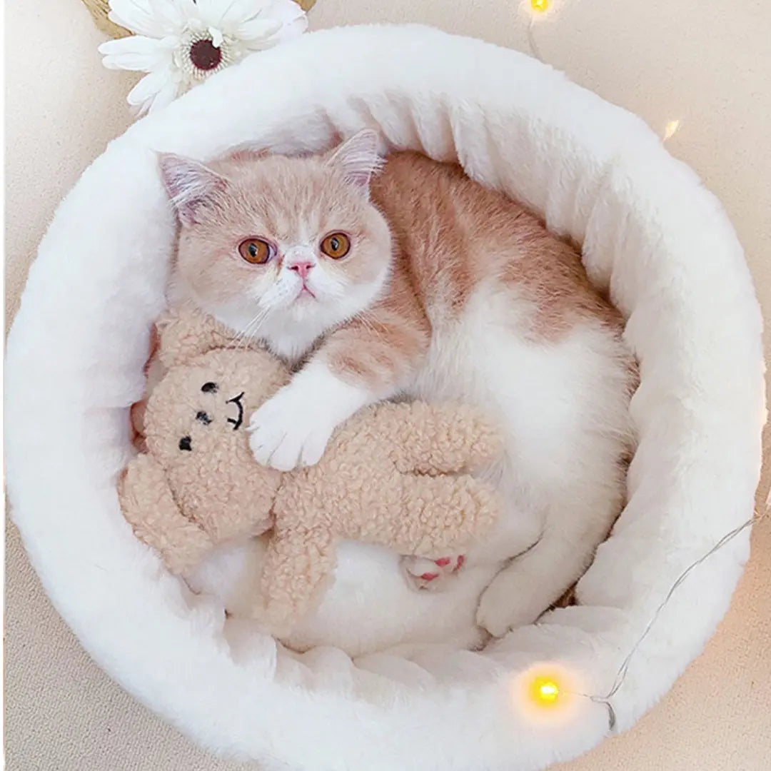 Japanese Style Cat Bed Plush Cozy Pet Sleeping Mat