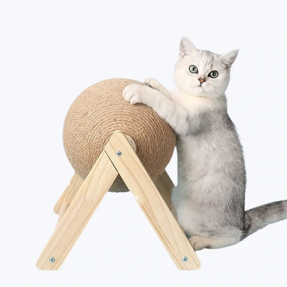 Cat Scratching Ball Toy Interactive Play Ball for Cats