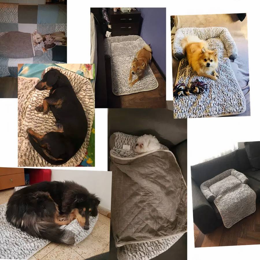 Cozy Warm Dog Sofa Bed Comfortable Pet Couch