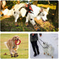 Waterproof Breathable Dog Booties for All Weather Protection