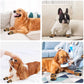 Waterproof Breathable Dog Booties for All Weather Protection