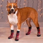 Non-slip Dog Socks with Traction Pads for Hardwood Floors