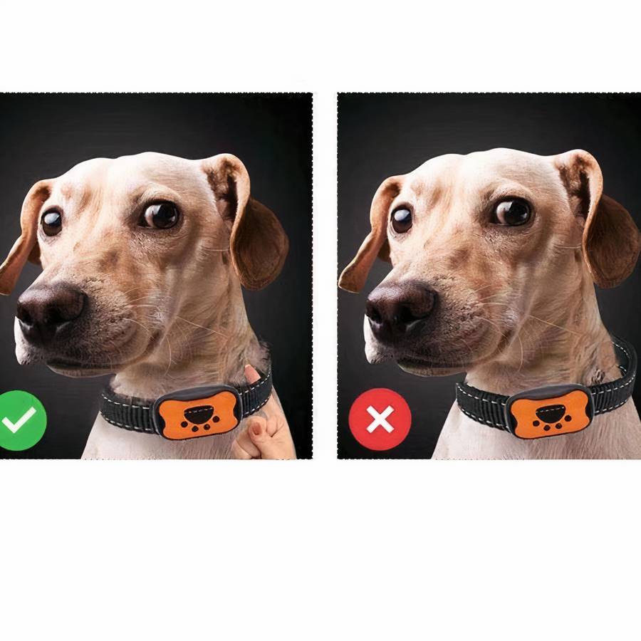 Dog Paw Print Anti Bark Collar Adjustable No Barking Training Device