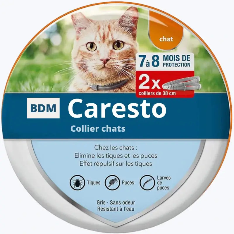 Natural Cat Flea Collar Flea and Tick Prevention for Cats