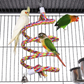 Bird Cage Aviary Enclosure 18in W x 14in D x 39in H