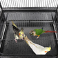 Bird Cage Aviary Enclosure 18in W x 14in D x 39in H