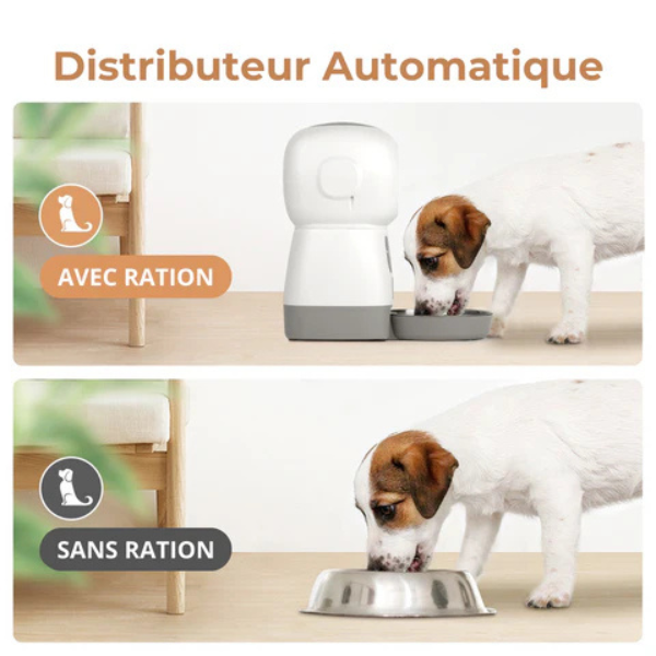 Automatic Pet Feeder for Dog and Cat Dry Food