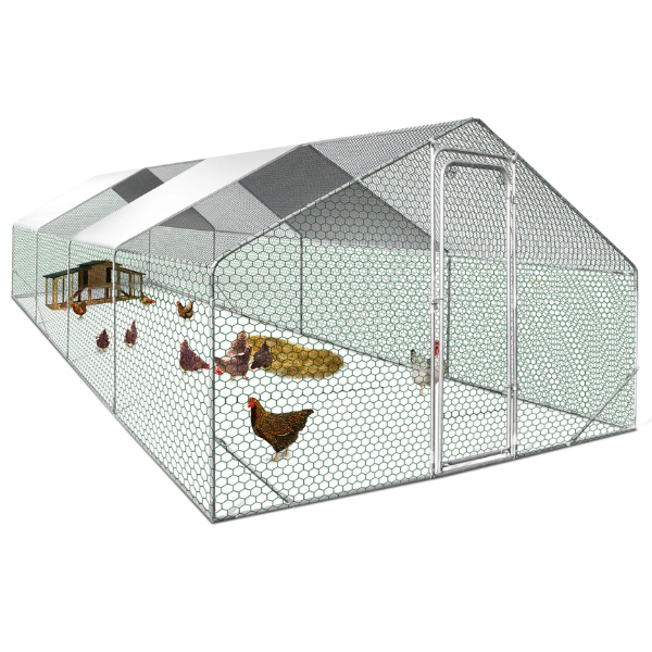 Chicken Coop Run 260 Sq Ft - Galvanized Steel Outdoor Chicken Enclosure