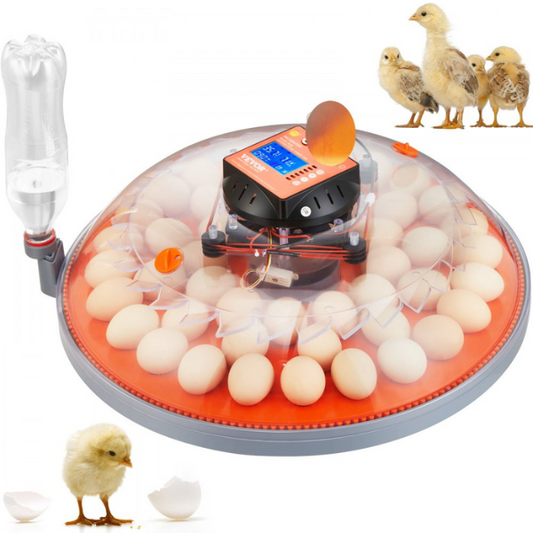 Automatic Egg Incubator with Turnover Function 48 Eggs Temperature and Humidity Control