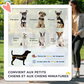 Pet Stroller for Dogs with 4 Swivel Wheels