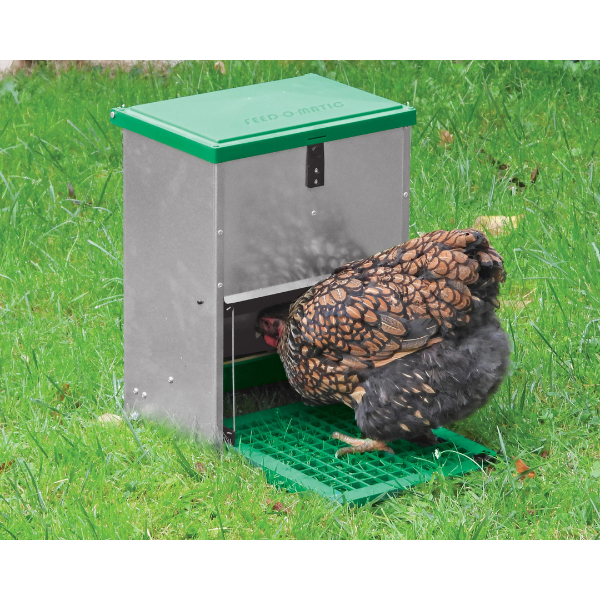 Automatic Adjustable Chicken Feeder 5kg | Pest Proof Poultry Feed Dispenser