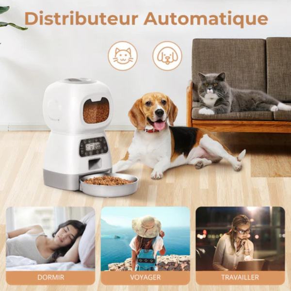 Automatic Pet Feeder for Dog and Cat Dry Food