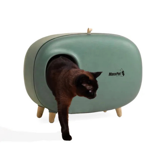 Cat Litter Box 60x38x45 cm - Covered Cat Toilet House - Enclosed Litter Tray