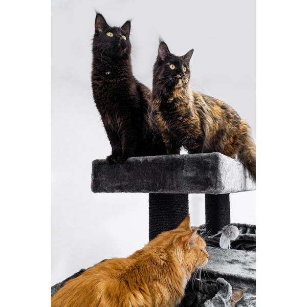 Giant XXL Cat Tree 48 x 176 inches Extra Large Cat Tower with Scratching Posts and Perches