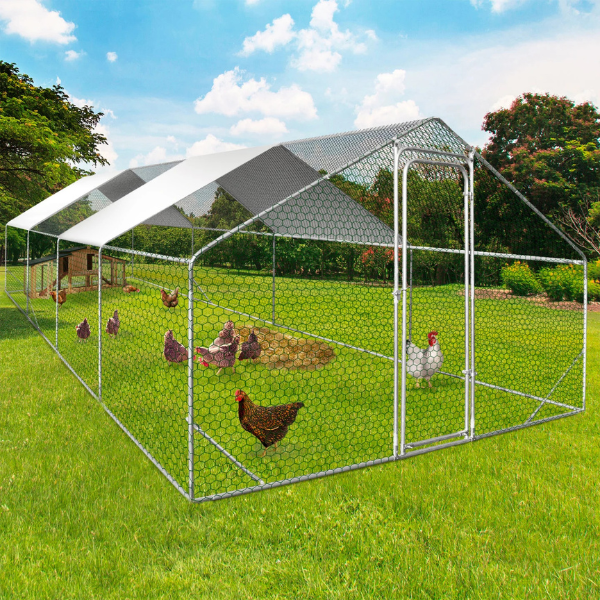 Chicken Coop Run 260 Sq Ft - Galvanized Steel Outdoor Chicken Enclosure