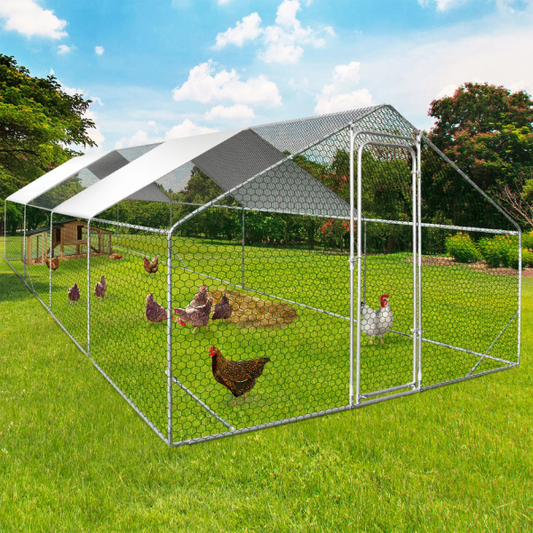 Chicken Coop Run 260 Sq Ft - Galvanized Steel Outdoor Chicken Enclosure