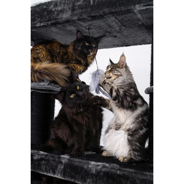 Giant XXL Cat Tree 48 x 176 inches Extra Large Cat Tower with Scratching Posts and Perches