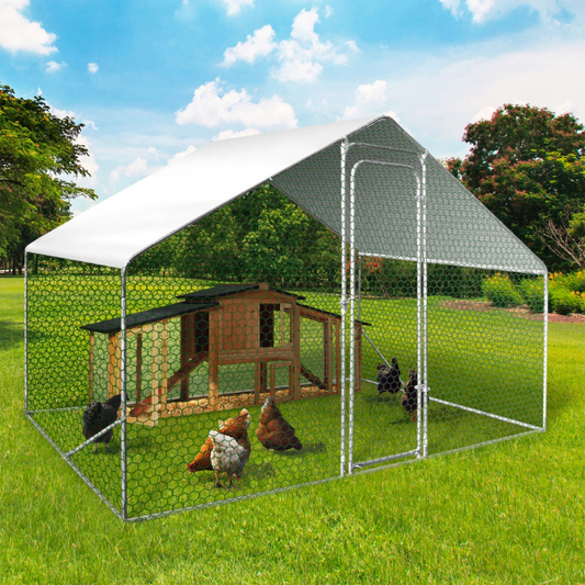 6 sq ft Chicken Coop Enclosure 3x2 ft Galvanized Steel Wire Run Yard