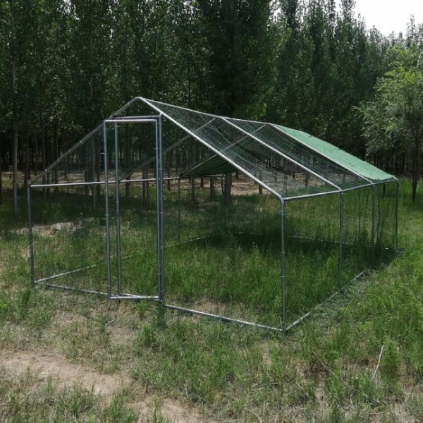 Chicken Coop Run 260 Sq Ft - Galvanized Steel Outdoor Chicken Enclosure