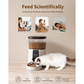 Smart Connected Cat Food Dispenser Automatic Dry Cat Food Feeder for Cats