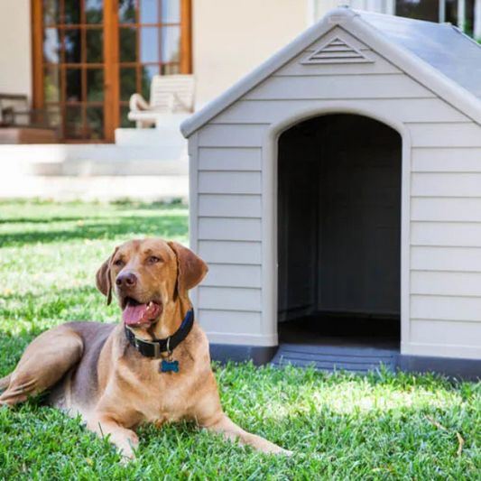 Beige and Brown Plastic Dog House 39 x 37 x 39 Inches Durable Outdoor Kennel
