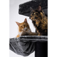 Giant XXL Cat Tree 48 x 176 inches Extra Large Cat Tower with Scratching Posts and Perches