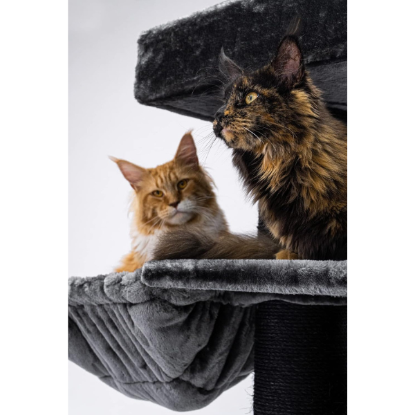 Giant XXL Cat Tree 48 x 176 inches Extra Large Cat Tower with Scratching Posts and Perches