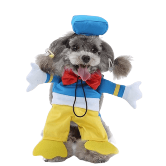 Donald Costume for Cats and Dogs Pet Halloween Outfit