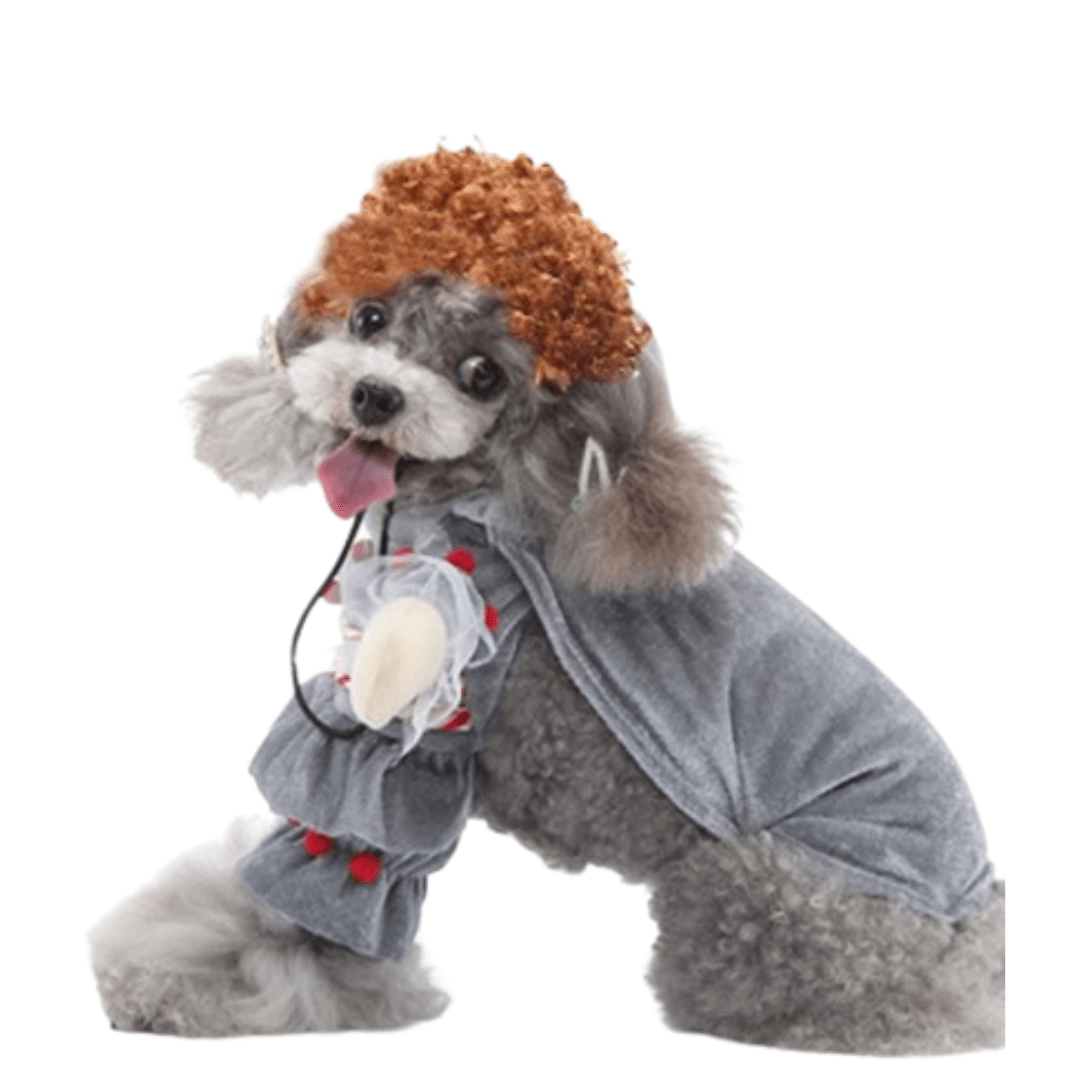 Funny Flu Virus Costume for Dogs and Cats Pet Halloween Outfit