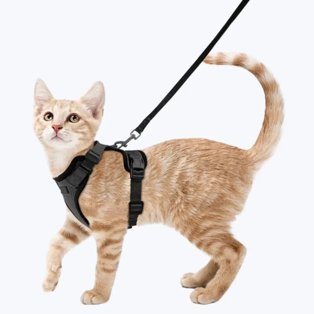 Escape Proof Cat Harness Adjustable Cat Leash Harness for Cats