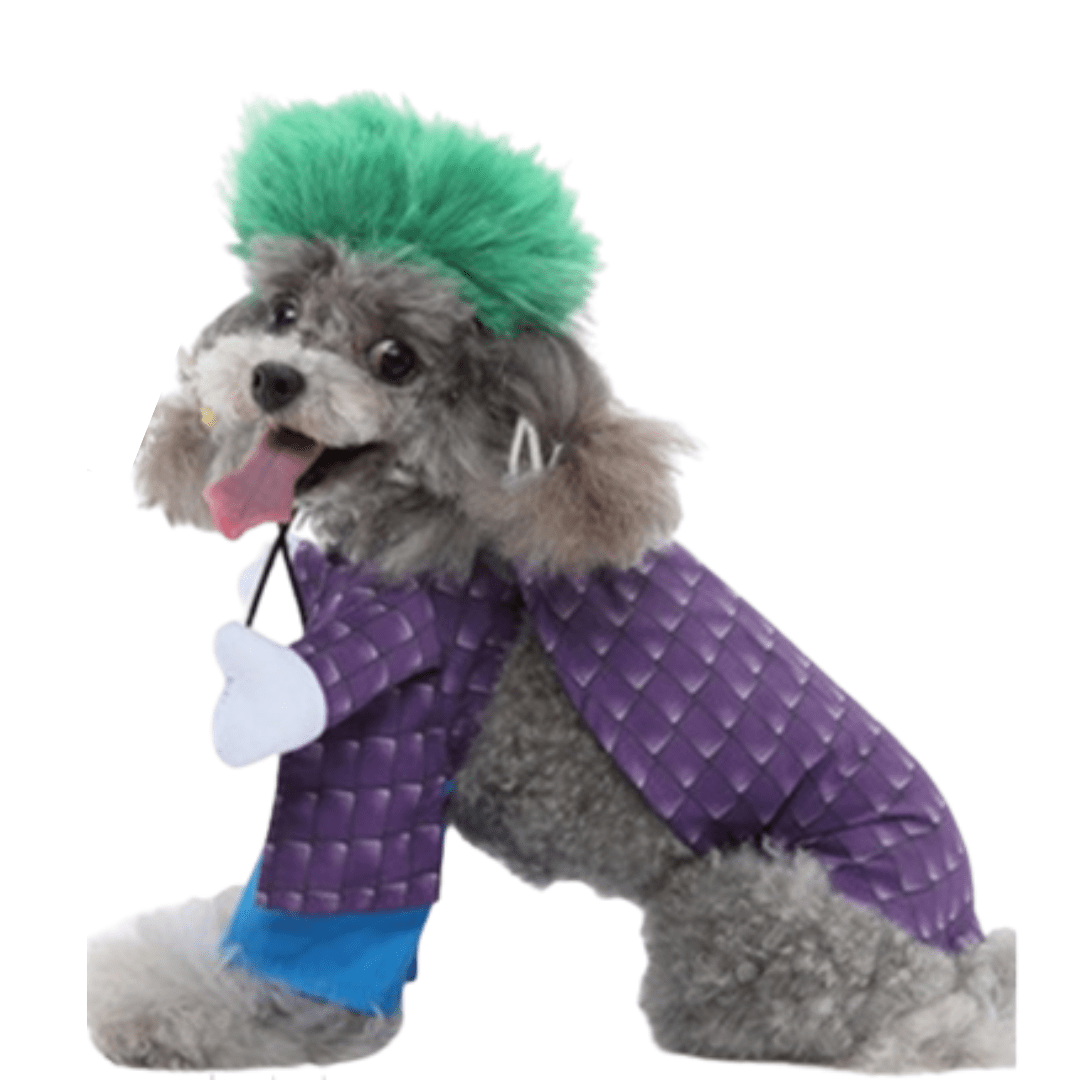 Joker Costume for Dogs and Cats Pet Halloween Outfit