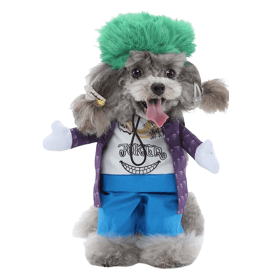 Joker Costume for Dogs and Cats Pet Halloween Outfit