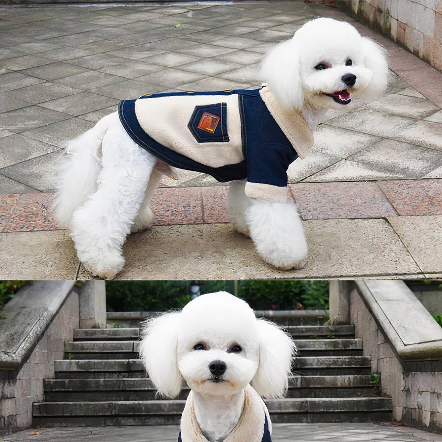 Winter Dog Jacket Denim Coat Warm Pet Outerwear