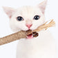 Matatabi Cat Dental Care Natural Oral Health Treats